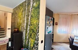 Casa cocheta, cu 4 camere, 130 mp - zona linistita 