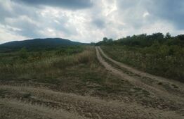 Teren extravilan, 51 ari,zona Sigmir