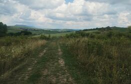 Teren extravilan, 51 ari,zona Sigmir