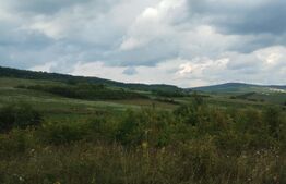 Teren extravilan, 51 ari,zona Sigmir