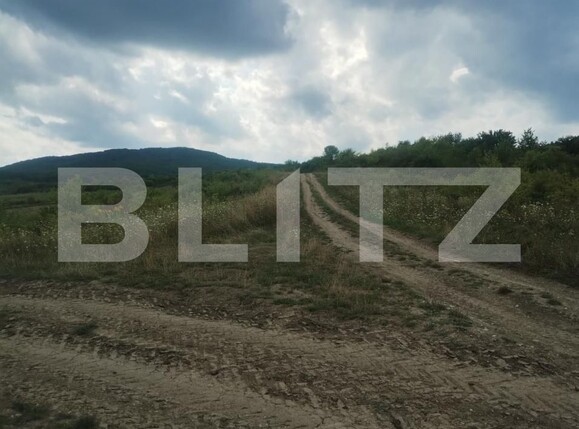Teren de vânzare Sigmir - 176181TV | BLITZ Bistriţa | Poza3