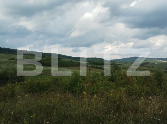 Teren de vânzare Sigmir - 176181TV | BLITZ Bistriţa | Poza2
