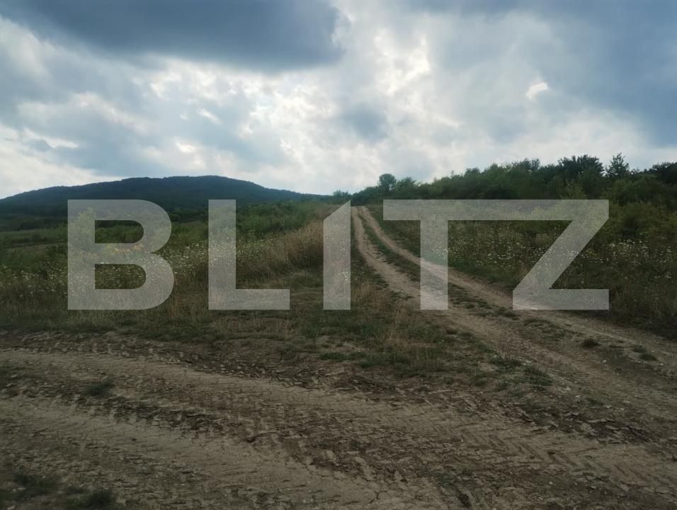 Teren de vânzare Sigmir - 176181TV | BLITZ Bistriţa | Poza3