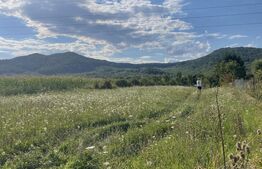 Teren intravilan Viișoara – ideal pentru casă sau investiție