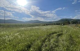 Teren de vânzare Viișoara - 175937TV | BLITZ Bistriţa | Poza5