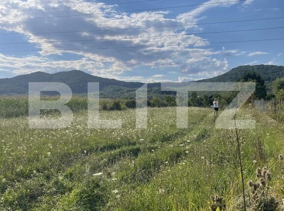 Teren de vânzare Viișoara - 176202TV | BLITZ Bistriţa | Poza2