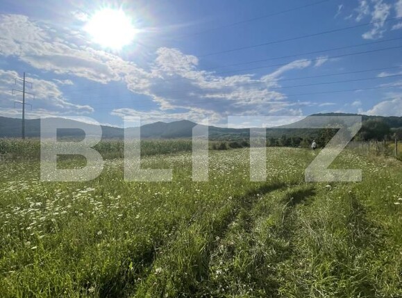 Teren de vânzare Viișoara - 176202TV | BLITZ Bistriţa | Poza1