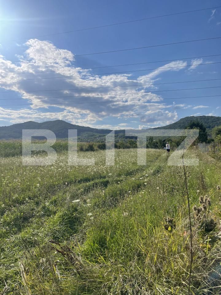 Teren de vânzare Viișoara - 176202TV | BLITZ Bistriţa | Poza2