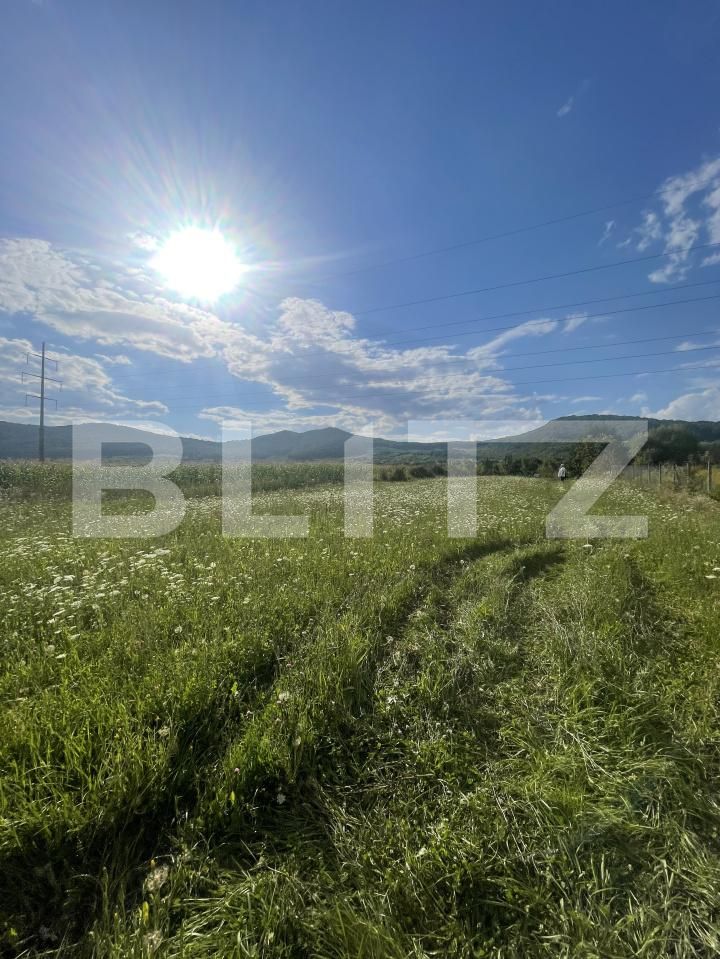 Teren de vânzare Viișoara - 176202TV | BLITZ Bistriţa | Poza1