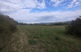 Teren extravilan in suprafata de 35 de ari, zona Beclenut, ideal cabana