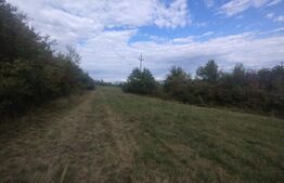 Teren extravilan in suprafata de 35 de ari, zona Beclenut, ideal cabana