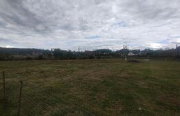 Casa batraneasca, 70 mp, teren 25 ari, orasul Beclean