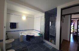 Casa superba Subcetate 520mp teren