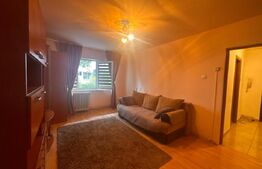 Apartament de inchiriat, cu 2 camere, zona Calea Moldovei
