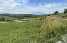 Teren de vânzare – zonă Subcetate, aproape de str. Tărpiului, 595 mp