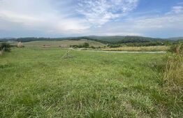 Teren de vânzare – zonă Subcetate, aproape de str. Tărpiului, 595 mp