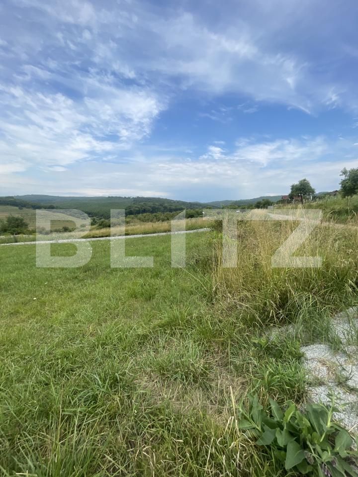 Teren de vânzare Est - 176574TV | BLITZ Bistriţa | Poza2