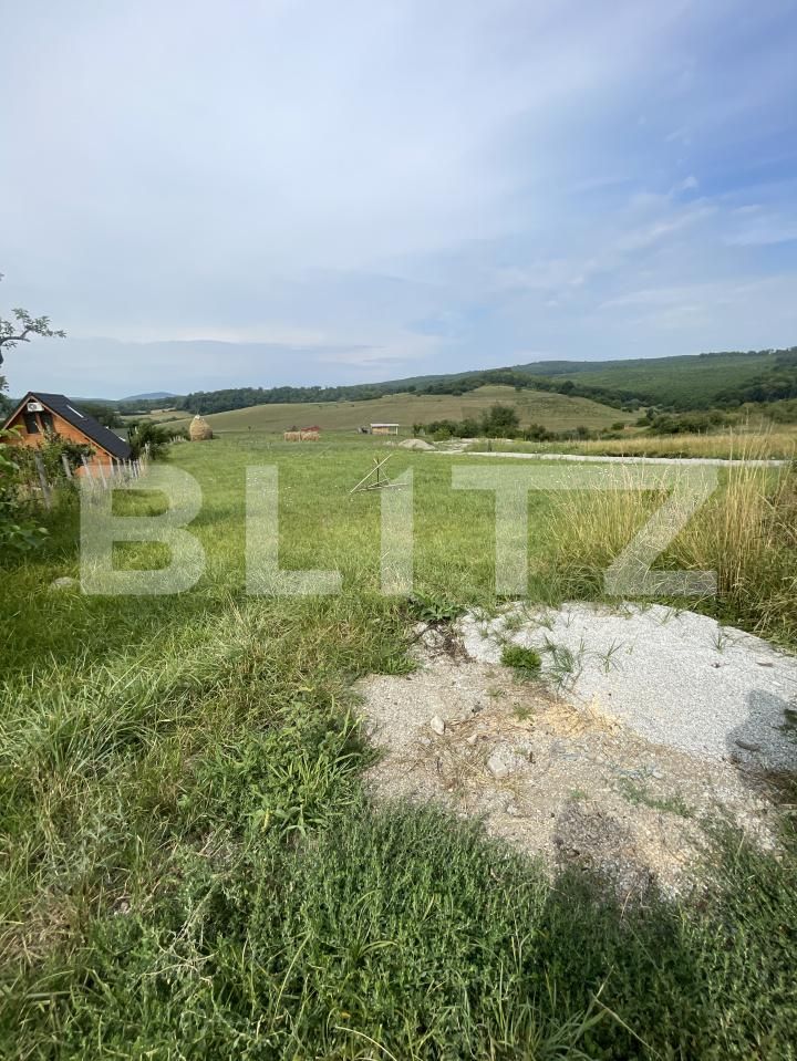 Teren de vânzare Est - 176574TV | BLITZ Bistriţa | Poza5