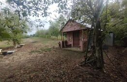 Cabana + teren intravilan, 50 ari, oras Beclean