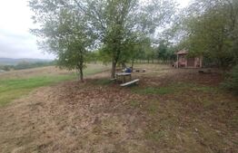 Cabana + teren intravilan, 50 ari, oras Beclean