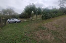 Cabana + teren intravilan, 50 ari, oras Beclean