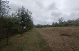 Teren 50 Ari cu Cabană, Utilități și Livadă – Oază de liniște! Beclean
