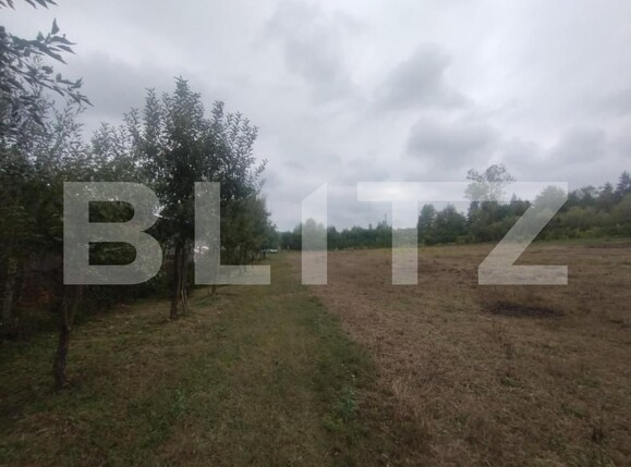 Teren de vânzare Beclean - 176692TV | BLITZ Bistriţa | Poza5