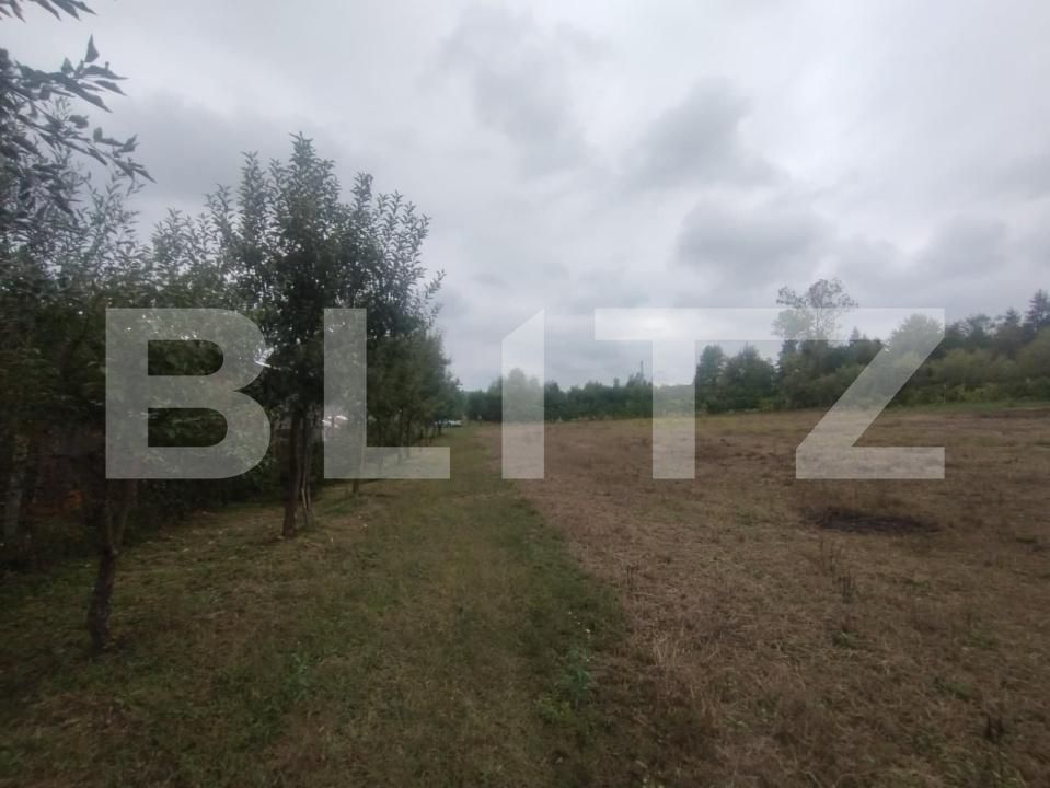 Teren de vânzare Beclean - 176692TV | BLITZ Bistriţa | Poza5