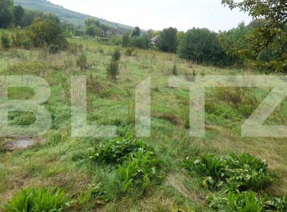 Casa de vânzare 6 camere Sud - 176734CV | BLITZ Bistriţa | Poza10