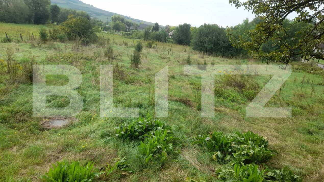 Casa de vânzare 6 camere Sud - 176734CV | BLITZ Bistriţa | Poza10