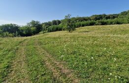 Teren de vanzare, 1Ha in apropiere de cartierul RAAL