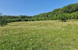 Teren de vânzare Vest - 185211TV | BLITZ Bistriţa | Poza4