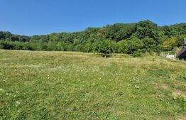 Teren de vanzare, 1Ha in apropiere de cartierul RAAL