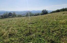 Teren de vanzare, 1Ha in apropiere de cartierul RAAL
