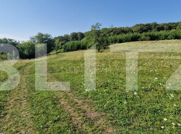 Teren de vânzare Sud-Est - 176784TV | BLITZ Bistriţa | Poza2