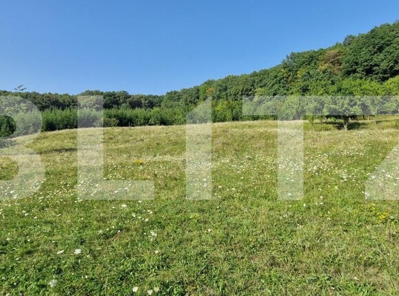 Teren de vânzare Sud-Est - 176784TV | BLITZ Bistriţa | Poza1