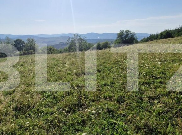 Teren de vânzare Sud-Est - 176784TV | BLITZ Bistriţa | Poza4