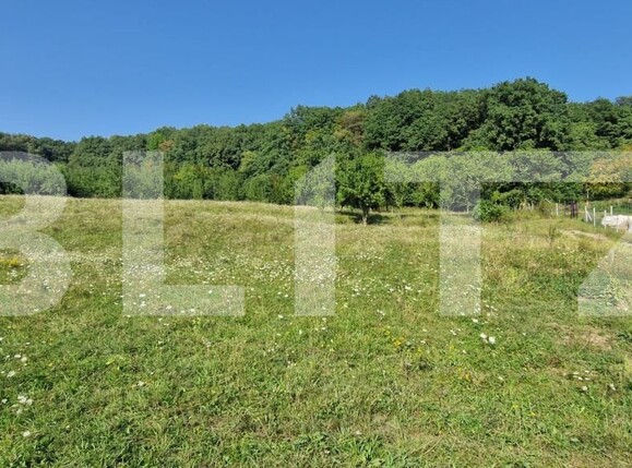 Teren de vânzare Sud-Est - 176784TV | BLITZ Bistriţa | Poza3