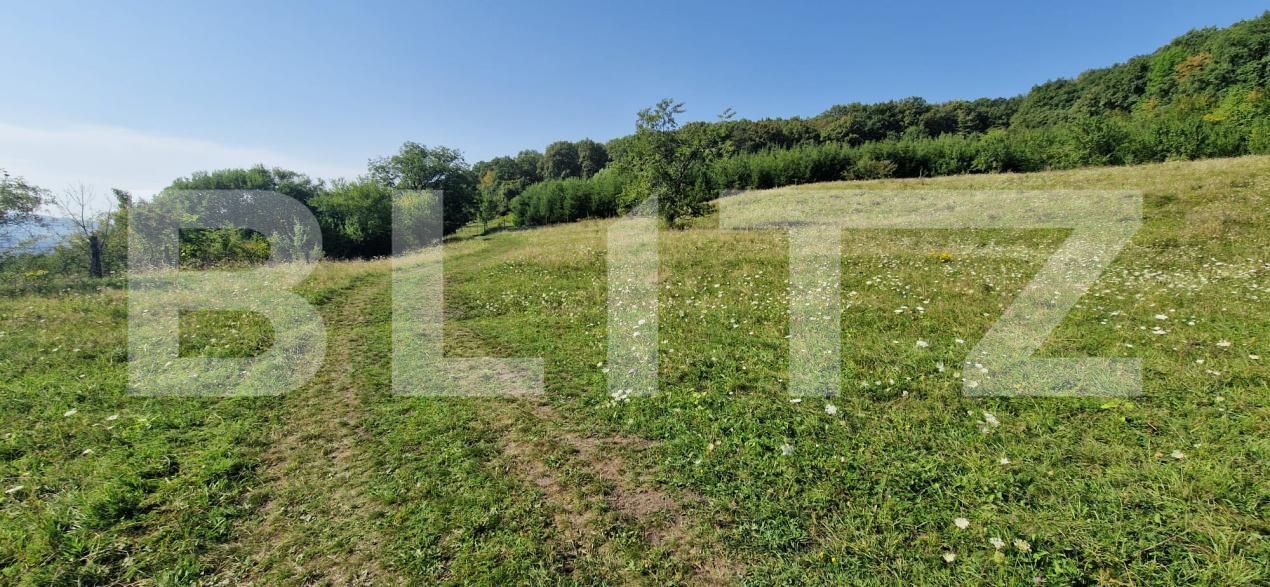 Teren de vânzare Sud-Est - 176784TV | BLITZ Bistriţa | Poza2