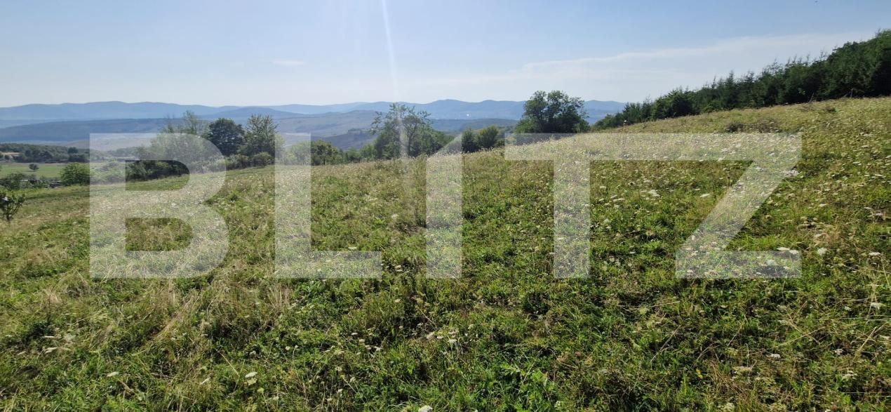 Teren de vânzare Sud-Est - 176784TV | BLITZ Bistriţa | Poza4