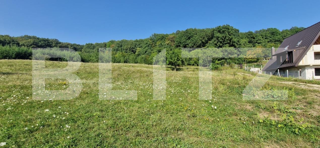 Teren de vânzare Sud-Est - 176784TV | BLITZ Bistriţa | Poza3