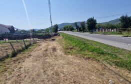 Teren intravilan 1 Ha si 42 Ari, zona Viisoara 