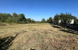 Teren de vanzare 925 mp, zona Valea Jelnei 