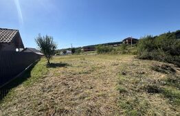 Teren de vanzare 925 mp, zona Valea Jelnei 