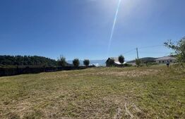 Teren de vanzare 925 mp, zona Valea Jelnei 