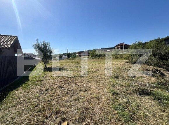 Teren de vânzare Nord-Est - 176833TV | BLITZ Bistriţa | Poza5