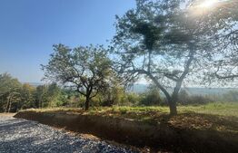 Teren de vanzare in Viisoara 