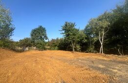 Teren de vanzare in Viisoara 