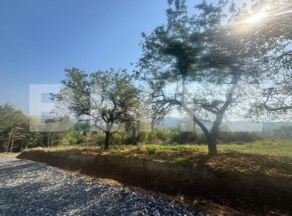 Teren de vânzare Viișoara - 176850TV | BLITZ Bistriţa | Poza1