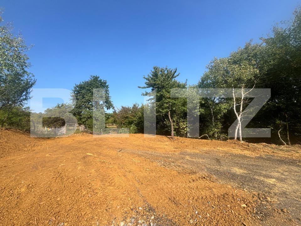 Teren de vânzare Viișoara - 176850TV | BLITZ Bistriţa | Poza2